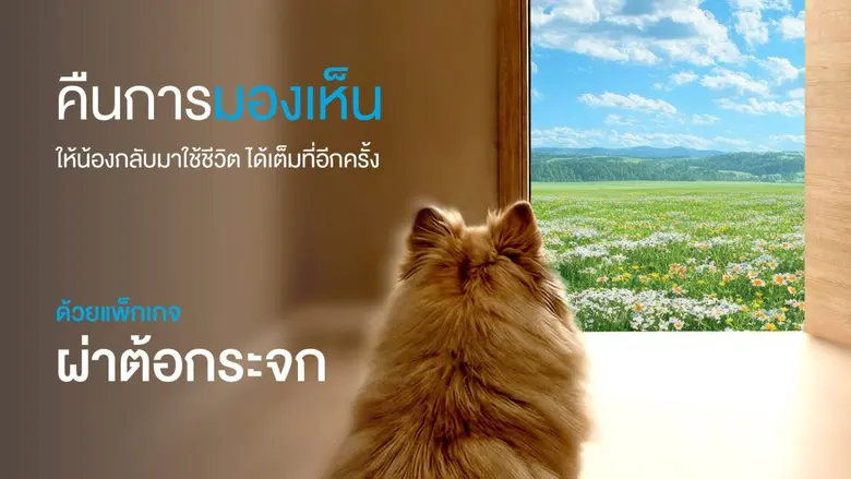 รพ.สัตว์ทองหล่อ ส่งมอบของขวัญวาเลนไทน์สุดซึ้ง คืนการมองเห็นให้สัตว์เลี้ยงสูงวัยด้วยเทคโนโลยีสลายต้อกระจก PHAECO คืนโลกใบใหม่ให้ "น้อง" ได้เห็นหน้าเจ้าของอีกครั้ง