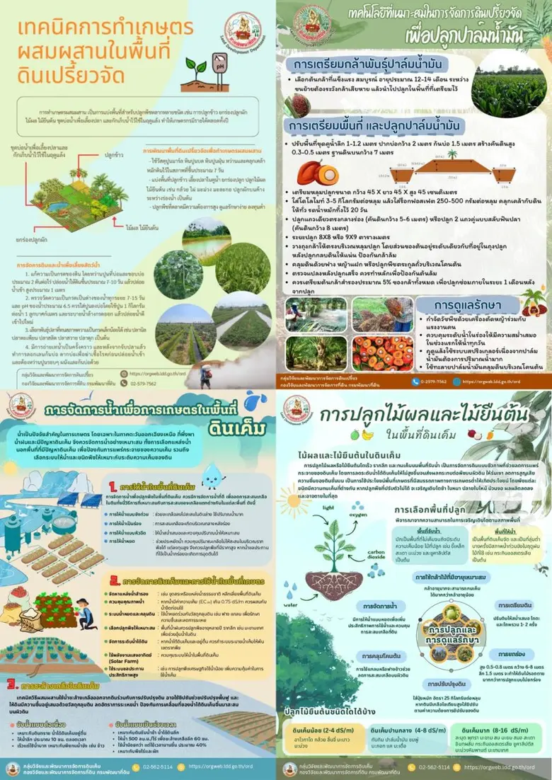 เปลี่ยน "ดินปัญหา" ให้เป็นดินสร้างผลผลิต เพิ่มศักยภาพพื้นที่เกษตร สู่ความยั่งยืนอย่างแท้จริง