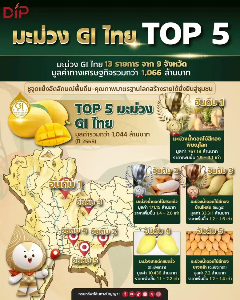 กรมทรัพย์สินทางปัญญา เปิดโผ Top 5 "มะม่วง GI ไทย" มูลค่าสูง ชูจุดแข็งอัตลักษณ์พื้นถิ่นและคุณภาพมาตรฐานโลก สร้างรายได้ยั่งยืนสู่ชุมชน