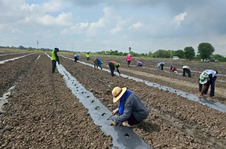 กทม. เตรียมพร้อมแผนปฏิบัติการฯ รองรับสถานการณ์ภัยแล้งปี 69 บรรเทาความเดือดร้อนประชาชน-เกษตรกร