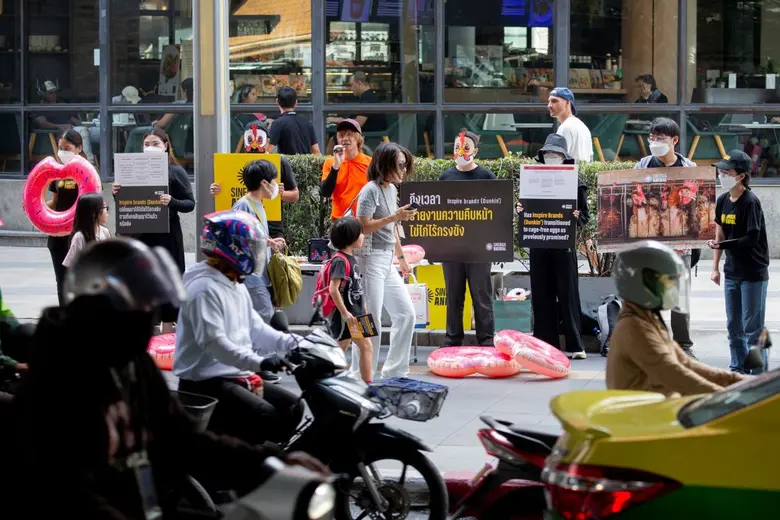 นักรณรงค์เรียกร้องธุรกิจไทยเปิดเผยความคืบหน้านโยบาย "ไข่ไก่ปลอดกรง" หลังถึงกรอบเวลาเป้าหมาย