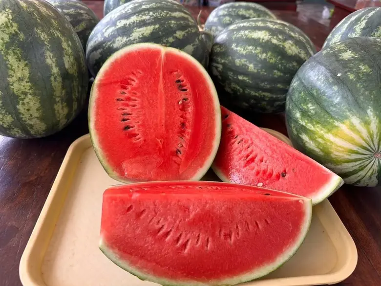 กรมทรัพย์สินทางปัญญาประกาศขึ้นทะเบียน "แตงโมหวานยโสธร" สินค้า GI รายการใหม่ของจังหวัดยโสธร สร้างมูลค่าเพิ่มสินค้าเกษตรและยกระดับเศรษฐกิจชุมชน