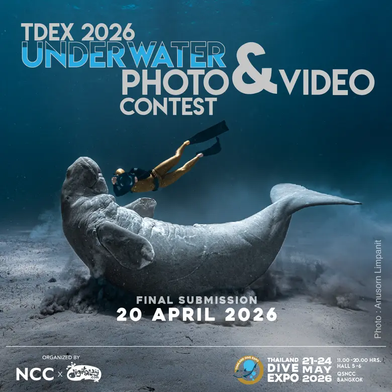สายดำน้ำห้ามพลาด! TDEX จับมือ Digitalay ชวนส่งผลงานเข้าประกวดภาพถ่ายและวิดีโอใต้น้ำ ชิงรางวัลมูลค่ารวมกว่า 2 แสนบาท