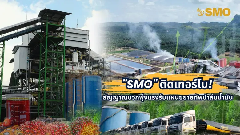 "SMO" ติดเทอร์โบ! สัญญาณบวกพุ่งแรงรับแผนขยายทัพปาล์มน้ำมัน