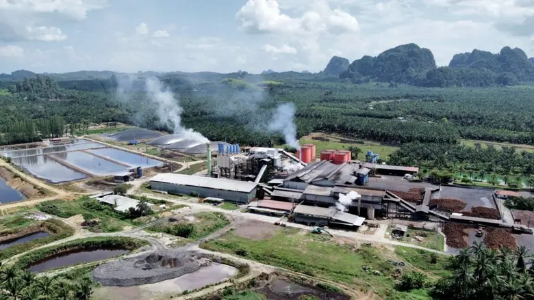 "SMO" ติดเทอร์โบ! สัญญาณบวกพุ่งแรงรับแผนขยายทัพปาล์มน้ำมัน