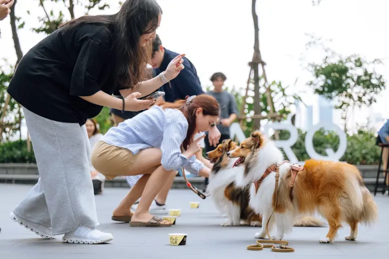 More Than a Space, It's a Feel-Good Moment! The PARQ Brings Together Sheltie Family at "The Shelties Soiree," A Pet-Friendly Community in the Heart of the City