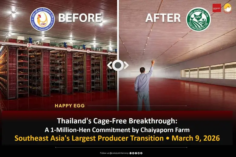 Thailand's Cage-Free Breakthrough: 1 Million Hens Committed as Chaiyaporn Farm Leads One of Southeast Asia's Largest Producer Transitions