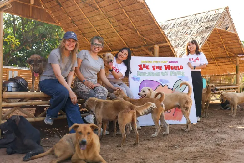 เมกาบางนา ผนึกกำลัง โครงการจรจัดสรร ส่งมอบบ้านพักพิงสำหรับสัตว์จร ให้กับ SOS ANIMAL THAILAND FOUNDATION