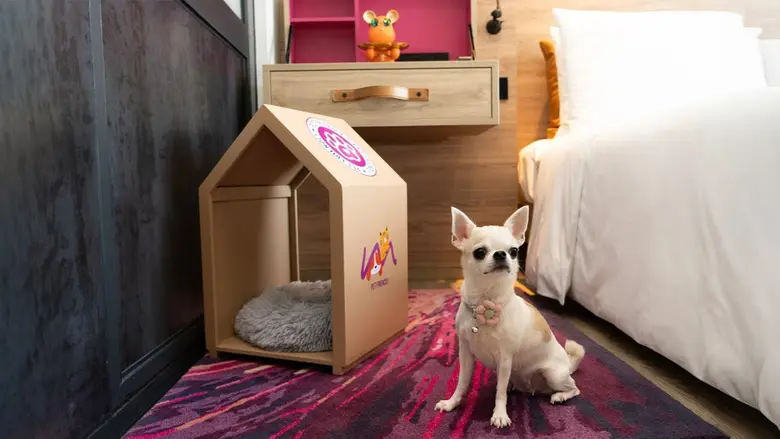 ม็อกซี่ แบงคอก ราชประสงค์ เปิดตัวแพ็กเกจ "Paws Stay Free" ที่พัก Pet-Friendly ใจกลางกรุงเทพฯ
