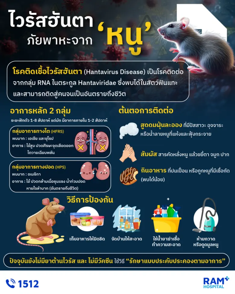 "ไวรัสฮันตา" ภัยเงียบจากหนูที่กลับมาตื่นตัวอีกครั้ง
