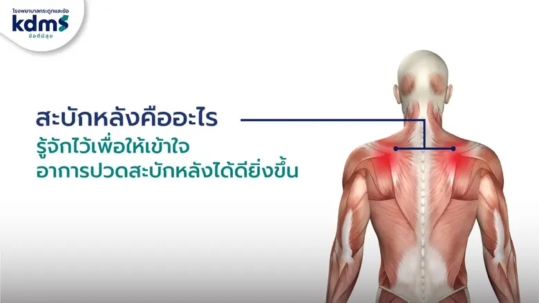 "สะบักจม ปวดร้าวลงแขน" สัญญาณเตือนที่มนุษย์สู้งานห้ามมองข้าม รู้จักสาเหตุและวิธีสยบ รีบจบฝันร้ายจากภัยเงียบไม่กลับมาเป็นซ้ำ!