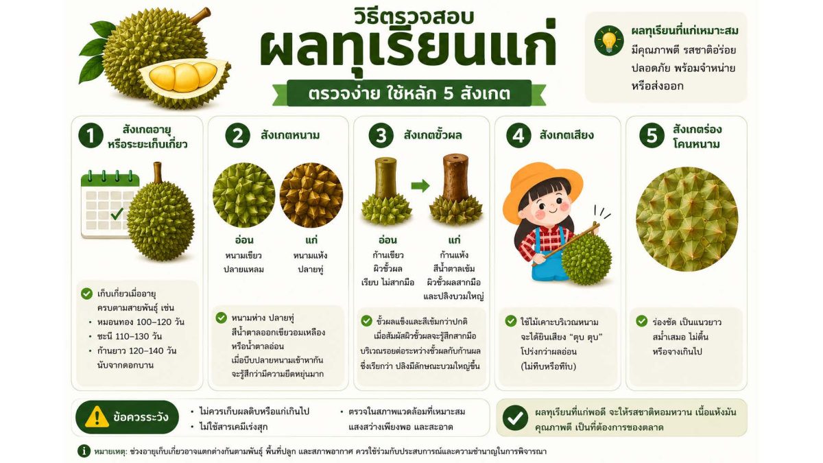 วว. ผนึกกำลังพันธมิตรยกระดับมาตรฐานห้องปฏิบัติการไทย    ตรวจเข้มสาร "Basic Yellow 2" ในทุเรียน สร้างความเชื่อมั่นส่งออกสู่ตลาดโลก