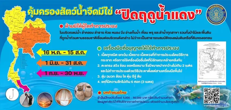 กรมประมงประกาศ "ฤดูน้ำแดง ปี 2569" เริ่ม 16 พ.ค. นี้ คุ้มครองสัตว์น้ำจืดมีไข่ เพื่อฟื้นฟูระบบนิเวศแหล่งน้ำทั่วประเทศ