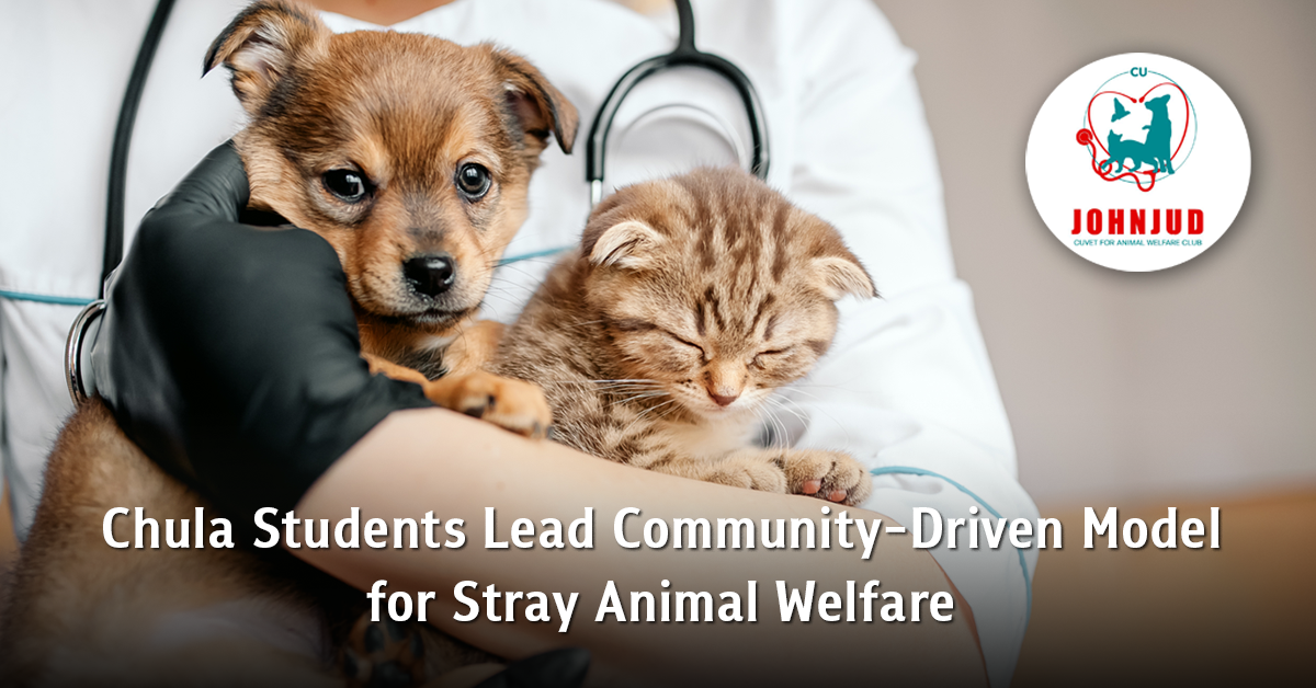 Chula Students Lead Community-Driven Model for Stray Animal Welfare