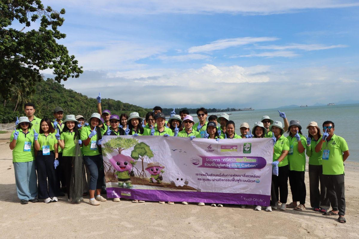 กลุ่มบริษัทศรีตรัง ผนึกกำลัง STA - STGT เดินหน้า "ศรีตรัง Go Green" ปีที่ 2 ลุยฟื้นฟู "Blue Carbon" คืนความอุดมสมบูรณ์สู่ระบบนิเวศทางทะเลและชุมชนอย่างยั่งยืน