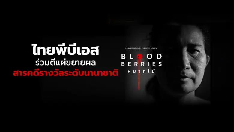 ไทยพีบีเอส ร่วมตีแผ่ขยายผลสารคดีรางวัลระดับนานาชาติ "Blood Berries"