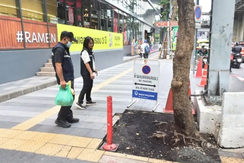 เขตบางรักตรวจติดตามประเมินต้นไม้ป่วยบนถนนสีลม