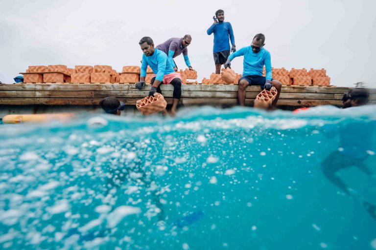 Anantara Dhigu Maldives Resort Partners with rrreefs on an Innovative 3D-Printed Clay Reef Restoration Project