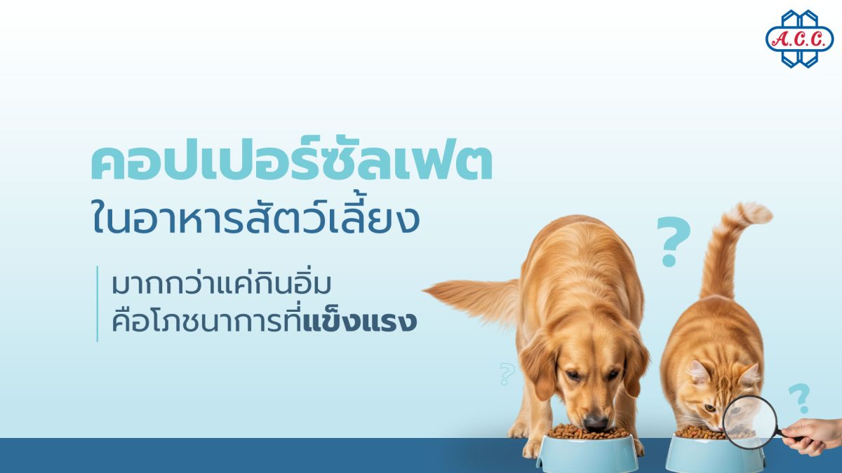 คอปเปอร์ซัลเฟตในอาหารสัตว์เลี้ยง แร่ธาตุสำคัญที่ผู้เชี่ยวชาญยืนยัน เพื่อสุขภาพที่ดีของสุนัขและแมว