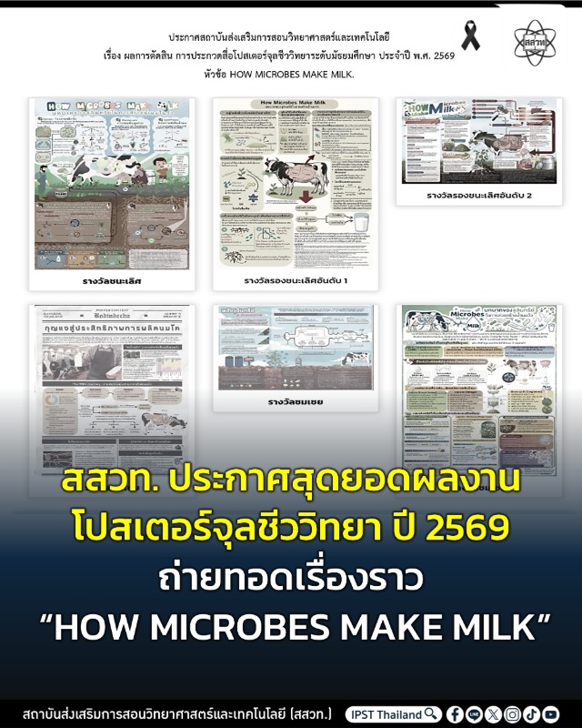 สสวท. ประกาศสุดยอดผลงานโปสเตอร์จุลชีววิทยา ปี 2569 ถ่ายทอดเรื่องราว "HOW MICROBES MAKE MILK"