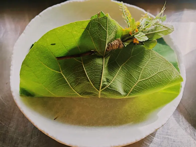 The 4th Element Tasting Experience การเดินทางผ่านรสชาติแห่งธาตุดิน น้ำ ลม ไฟ