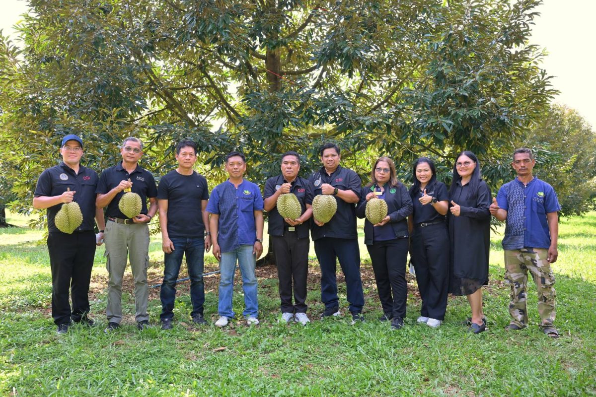กรมทรัพย์สินทางปัญญา พาบุกฟาร์ม "หอยนางรมสุราษฎร์ธานี" ตรวจเยี่ยมกระบวนการผลิตตามมาตรฐาน GI พร้อมเฟ้นหาสินค้าอัตลักษณ์พื้นถิ่น เพื่อผลักดันเข้าสู่ระบบ GI อย่างต่อเนื่อง