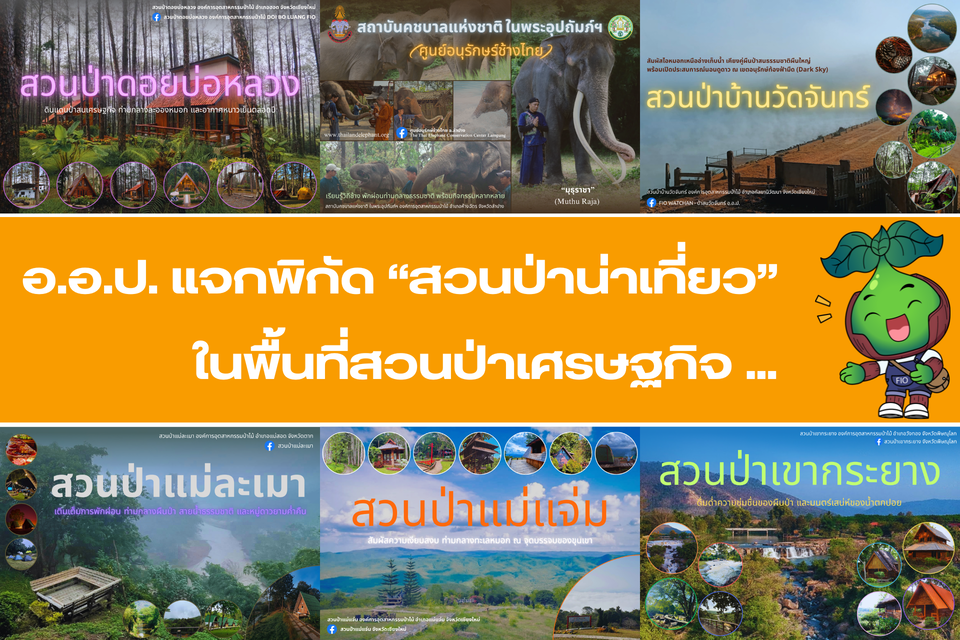 อ.อ.ป. แจกพิกัด "สวนป่าน่าเที่ยว" ในพื้นที่สวนป่าเศรษฐกิจทั่วประเทศไทย ...