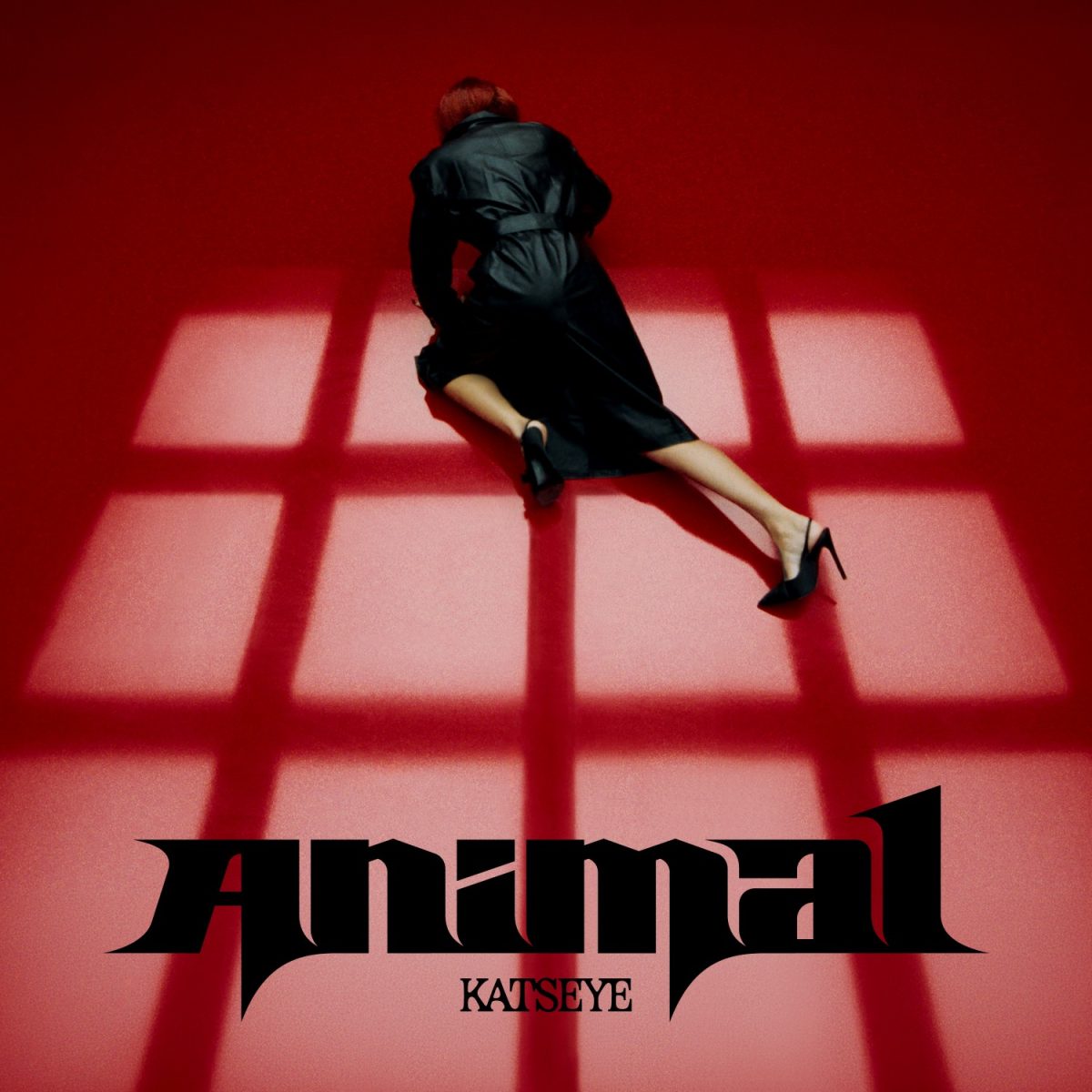 KATSEYE ปล่อยซิงเกิลใหม่ "Animal" ได้ Ed Sheeran ร่วมแต่งเพลง และ Demi Moore ร่วมแสดง MV อุ่นเครื่องก่อนเปิดตัว EP ชุดใหม่ WILD วันที่ 14 สิงหาคมนี้