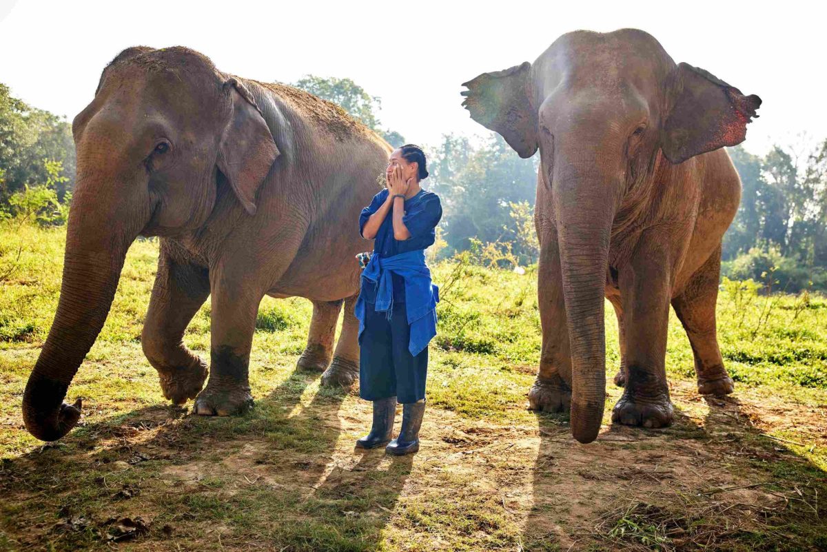 Tracee Ellis Ross Spotlights Anantara Golden Triangle in Solo Traveling with Tracee Ellis Ross Season 2