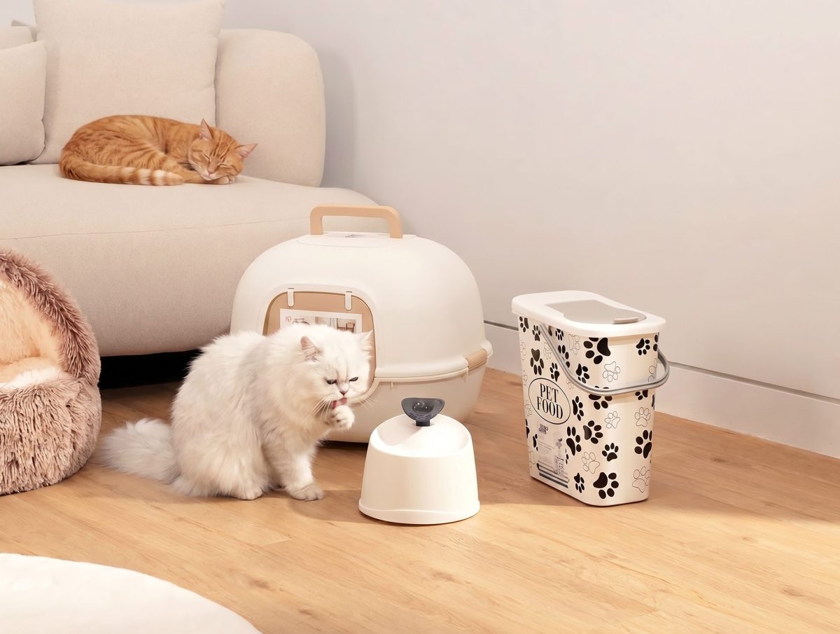 Index Living Mall รุกเทรนด์ Pet Humanization ขยายไลน์กลุ่ม Pet-Friendly ชูนวัตกรรม-ฟังก์ชันครบ ตอบรับพฤติกรรมน้องๆ ทุกโมเมนต์