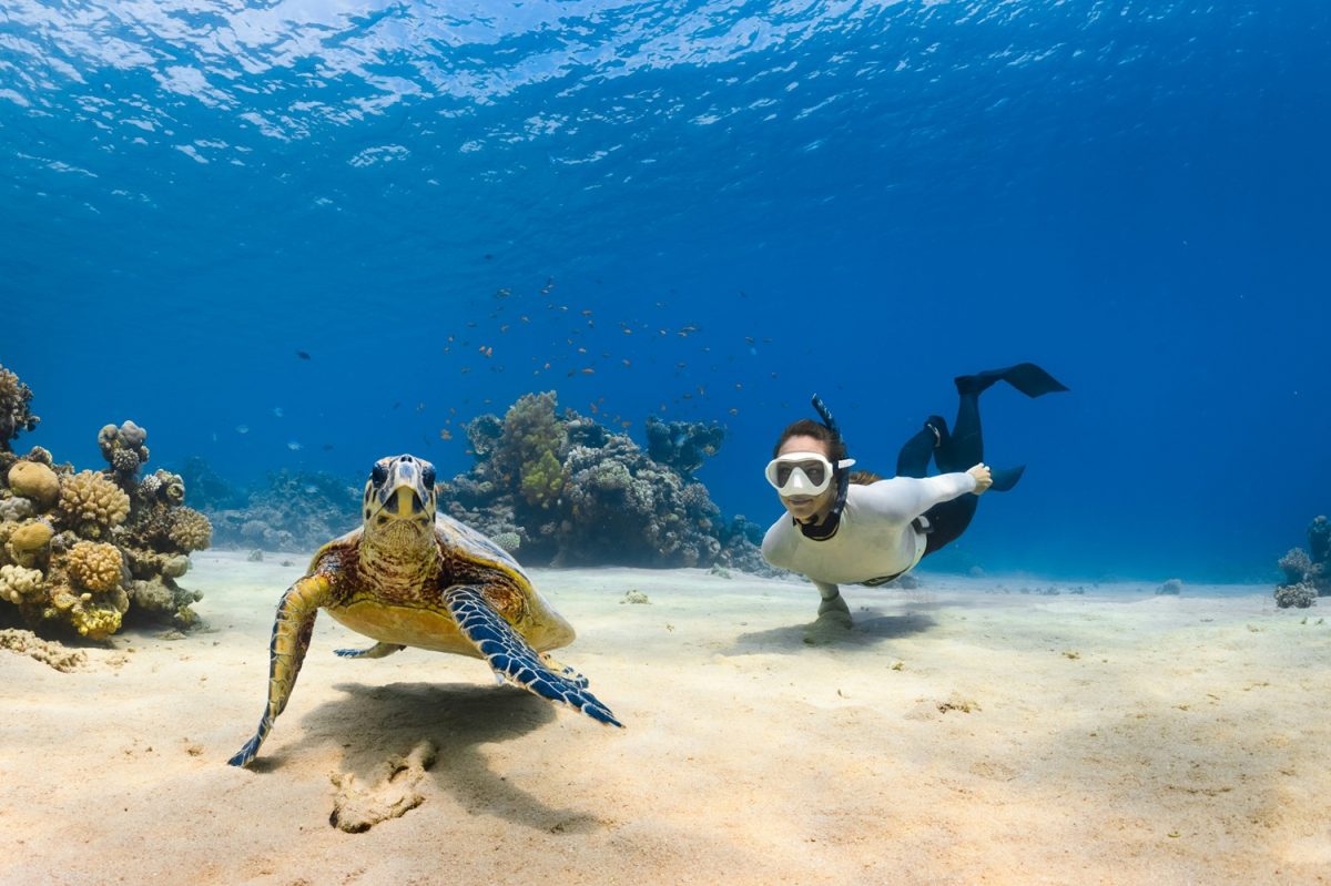 World-Record Freediver Hanli Prinsloo Returns to the Maldives for Two Ocean Retreats