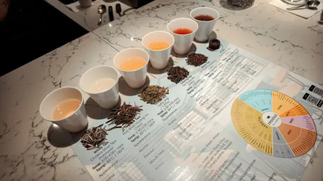 "ทไวนิงส์" ตอกย้ำแบรนด์ชาพรีเมียม ผ่าน "Twinings Sip with Luxury" เชื่อมประสบการณ์สู่ไลฟ์สไตล์ผู้บริโภคยุคใหม่