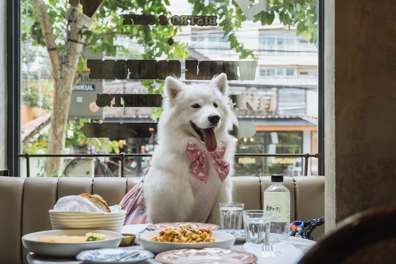 LA PLANTE (ลาพล็อง) ชวนสัมผัส The Classic French Flavor พร้อมพื้นที่ Pet-Friendly ภายใต้คอนเซ็ปต์ "Made to Be Shared"