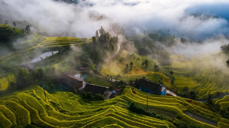 4th "From Ziquejie Terraces To The World" Global Farming Culture Exchange and Mutual Learning Conference Opens in Loudi, Hunan