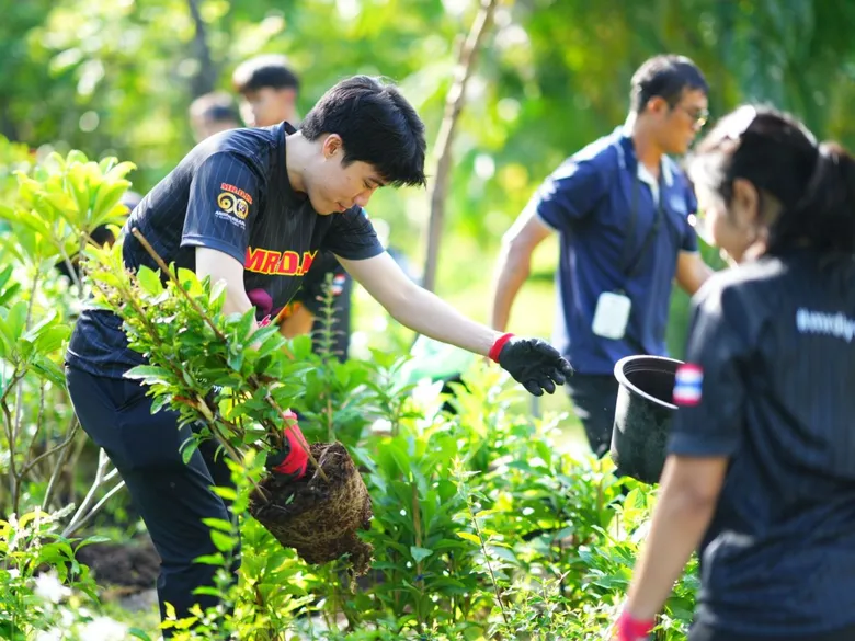 MR. D.I.Y. Marks 10 Years Alongside Thai Communities, Extending its BMA Partnership for a Third Year to Support Green Spaces at Benchakitti Forest Park, with More Than 900 Trees Planted to Date