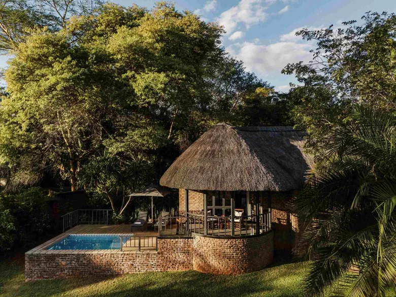 Anantara Stanley &amp; Livingstone Celebrates the Arrival of White Rhino for World Rhino Day