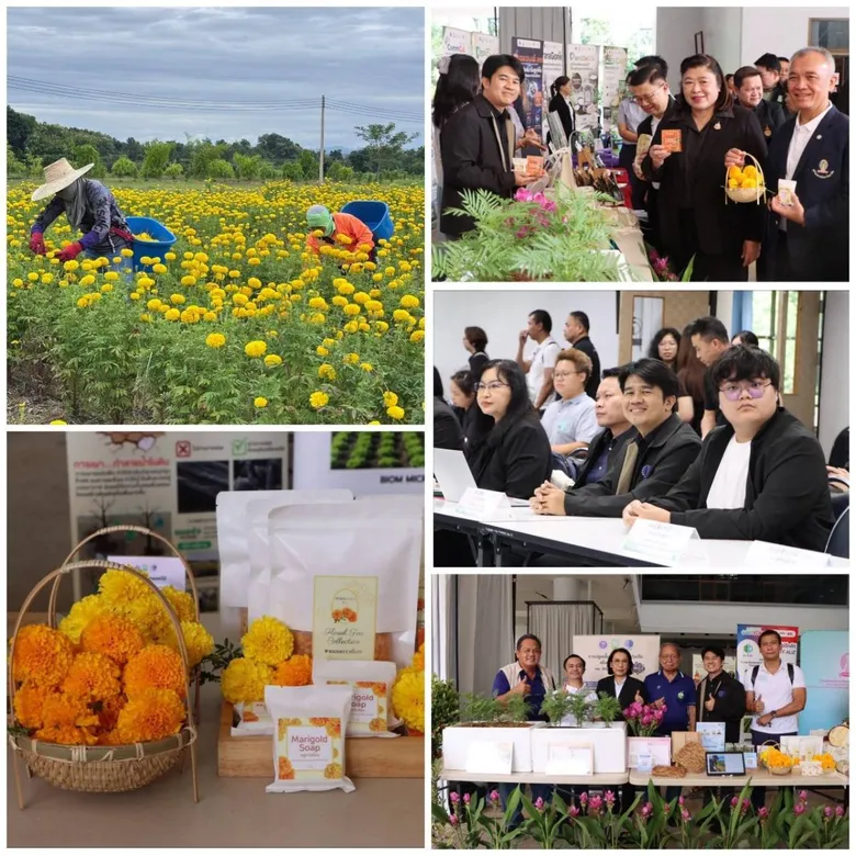 วว. โชว์ผลงานวิจัยการใช้ประโยชน์จากทรัพยากรในพื้นที่ ร่วมขับเคลื่อนบูรณาการงานวิจัย PM2.5 จังหวัดน่านและแพร่