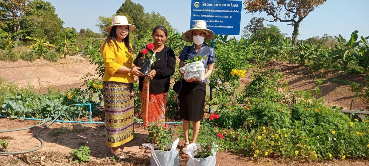 พาชมผลผลิตเต็มตาที่ โคก หนอง นา พช. อ.ตระการพืชผล จ.อุบลฯ สร้างความสุขและคลังอาหารที่สมบูรณ์