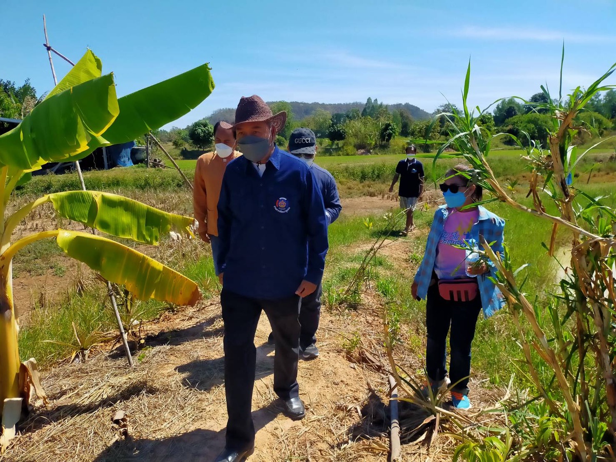 ผู้ตรวจราชการกรมการพัฒนาชุมชนลงพื้นที่ติดตามการดำเนินงานโครงการพัฒนาพื้นที่ต้นแบบการพัฒนาคุณภาพชีวิตตามหลักทฤษฎีใหม่ประยุกต์สู่ โคก หนอง นา พช.