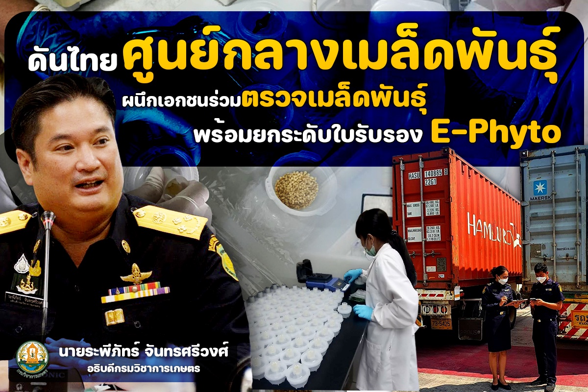 ดันไทยทะยานศูนย์กลางเมล็ดพันธุ์ ผนึกเอกชนร่วมตรวจสุขภาพเมล็ดพันธุ์ พร้อมยกระดับใบรับรอง E-Phyto