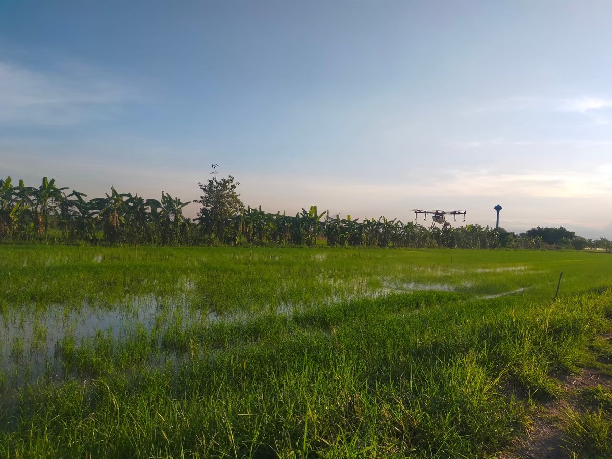 วว. ร่วมกับสภาเกษตรกรจังหวัดปทุมธานี อบรมการขยายสารชีวภัณฑ์ให้แก่เกษตรกร ช่วยลดต้นทุน ป้องกันโรคพืช ได้ผลผลิตดีขึ้น เป็นมิตรต่อสิ่งแวดล้อม