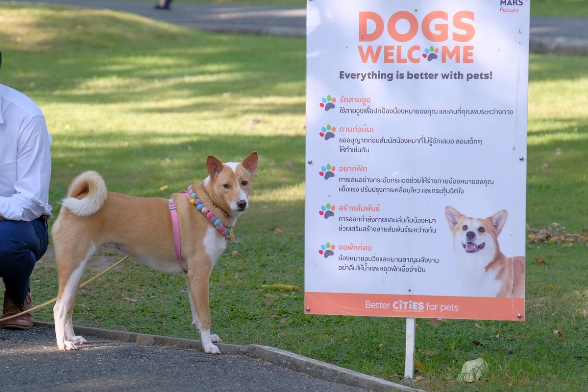 มาร์ส เพ็ทแคร์ ประเทศไทย เดินหน้าโครงการ Better Cities for Pets ร่วมกับกทม. ปรับปรุง BMA Dog Park สวนวัชราภิรมย์ สร้างสภาพแวดล้อมที่เป็นมิตรให้สัตว์เลี้ยง