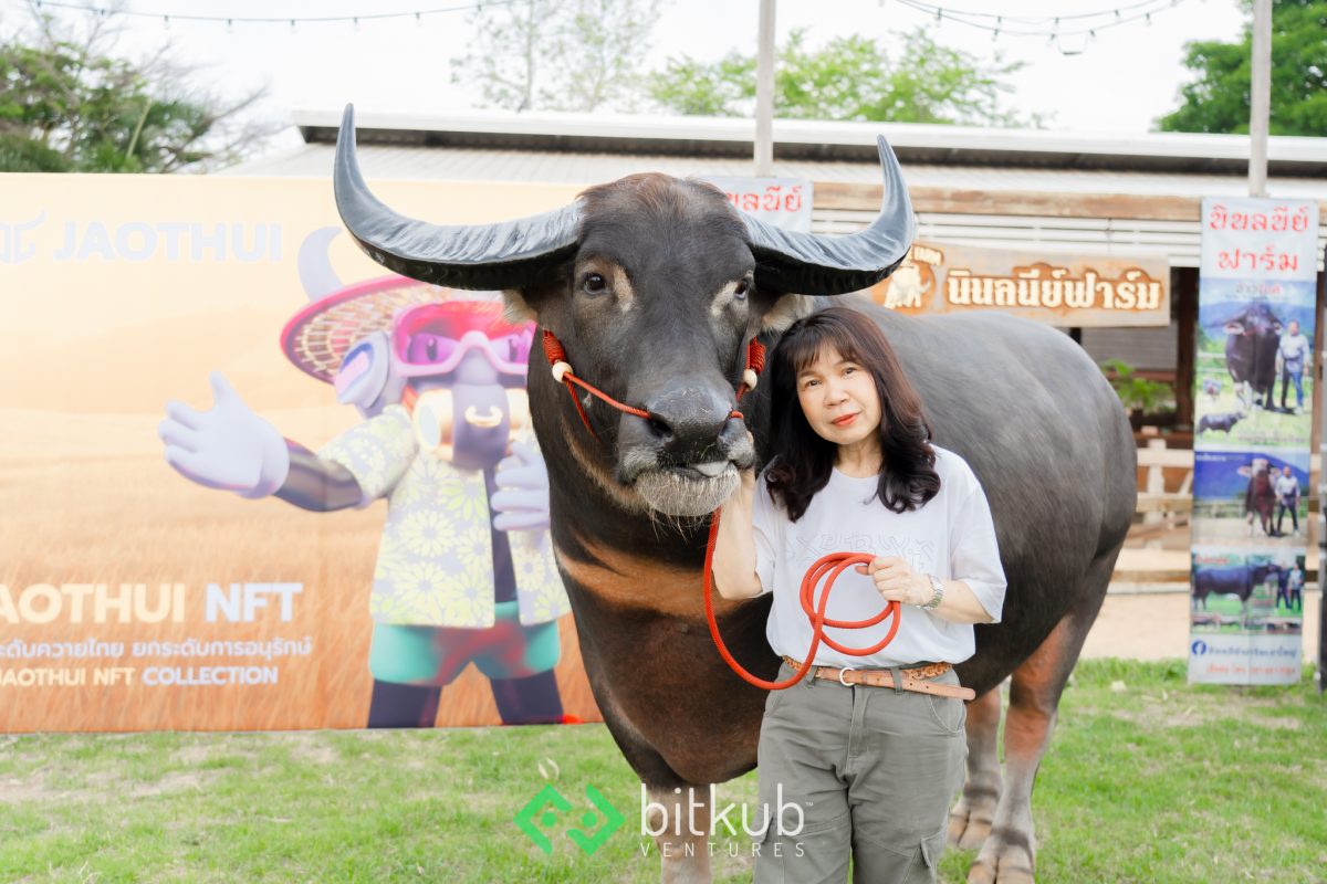 บิทคับ เวนเจอร์ส - เจ้าทุย - ซีพีเอฟ จับมือเปิดตัวอาหารควายสูตรใหม่ พาควายไทยพัฒนาไปสู่ระดับสากล