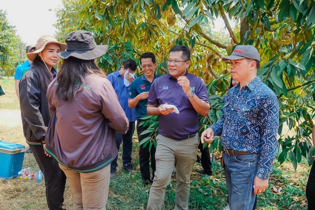 กรมส่งเสริมการเกษตร ชูทุเรียนทองผาภูมิ จังหวัดกาญจนบุรี เป็นสิ่งบ่งชี้ทางภูมิศาสตร์ หรือ GI ที่เป็นอัตลักษณ์ของจังหวัด