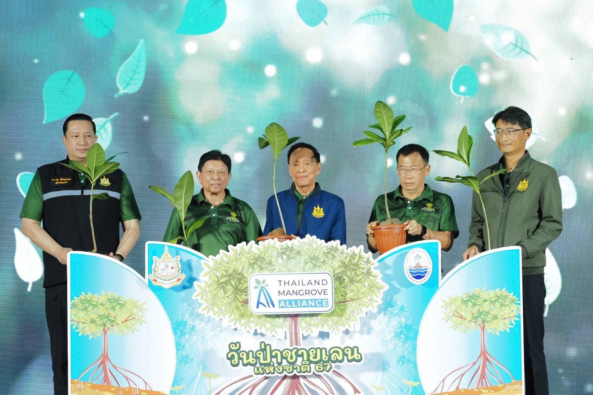 พัชรวาท ปลื้ม!! ป่าชายเลนไทยเพิ่มขึ้นกำชับ 'กรมทะเล' อนุรักษ์ป่าชายเลนร่วมภาคี Thailand Mangrove Alliance เน้น 3 หลัก เศรษฐกิจ-สังคม-สิ่งแวดล้อม