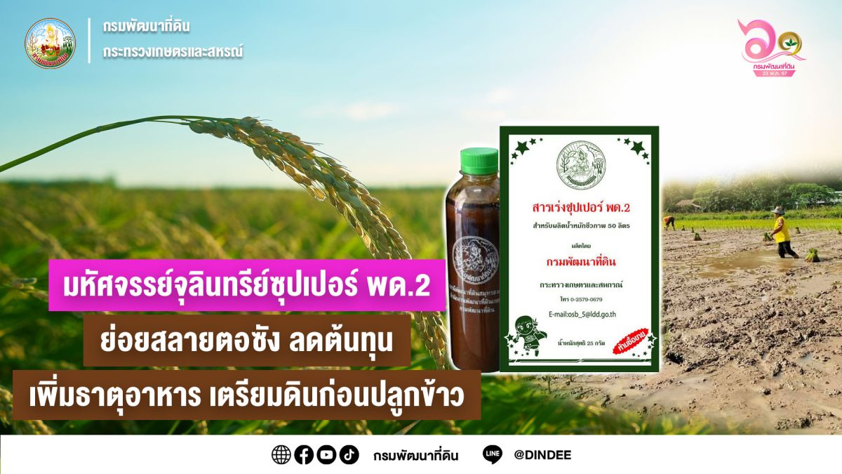 มหัศจรรย์จุลินทรีย์ซุปเปอร์ พด.2 กรมพัฒนาที่ดิน ย่อยสลายตอซัง ลดต้นทุนเพิ่มธาตุอาหาร เตรียมดินก่อนปลูกฤดูทำนา