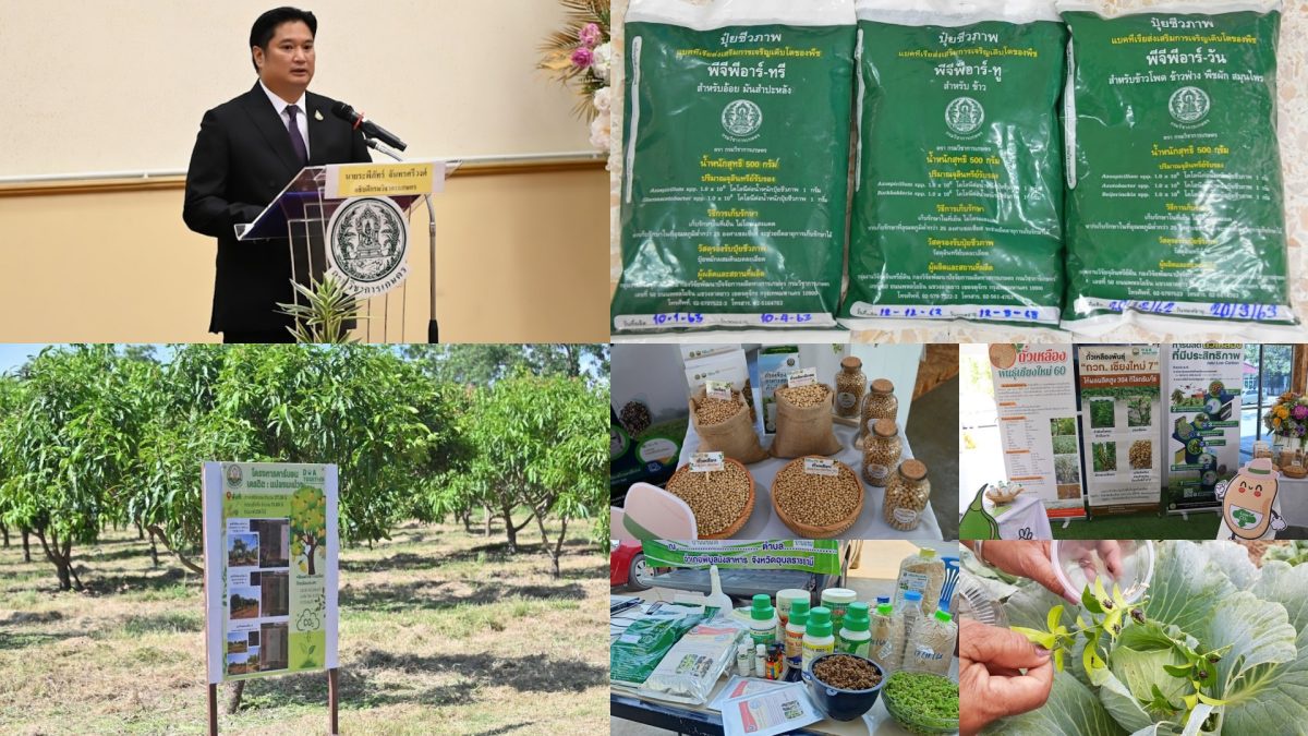 กรมวิชาการเกษตร เร่งขับเคลื่อน IGNITE THAILAND ภาคการเกษตร จัดใหญ่ขนงานวิจัย เทคโนโลยี และนวัตกรรมมาให้ชม 13 - 15 มิ.ย. นี้ ณ สวนเฉลิมพระเกียรติ 55