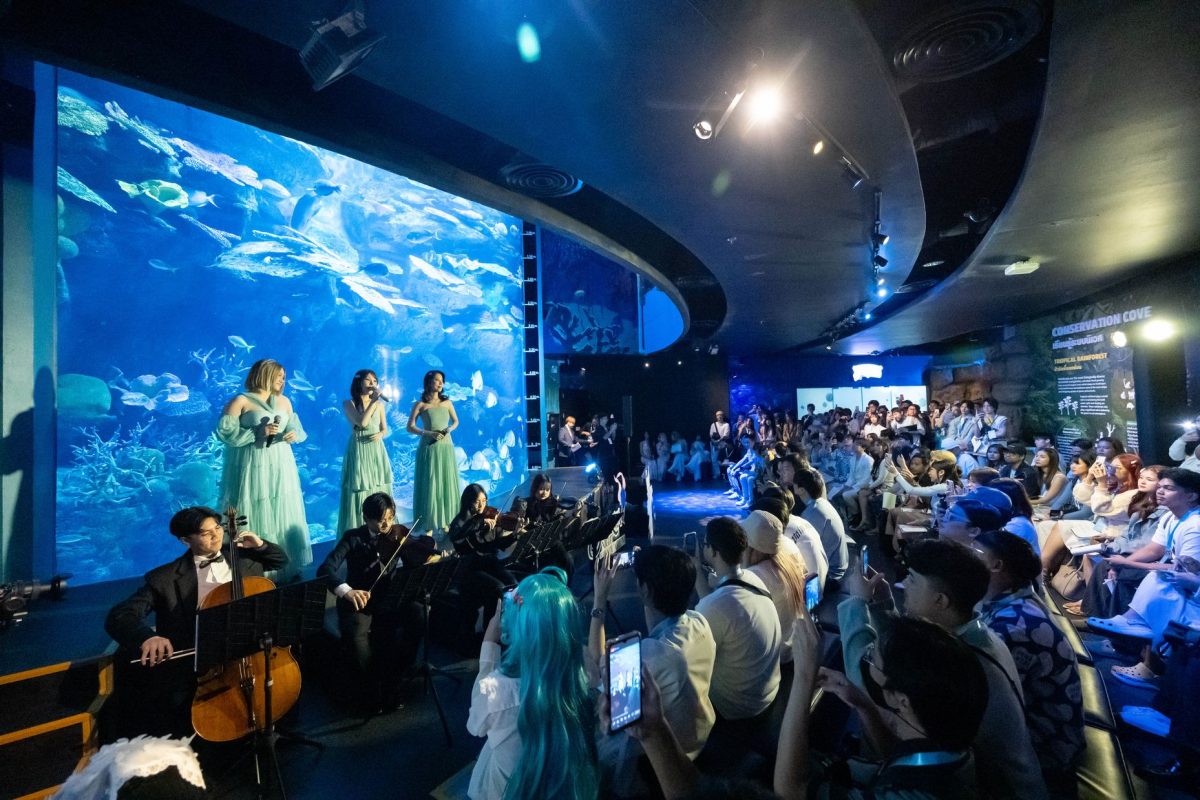 RoV จัดงาน DOLIA Night at the Aquarium เผยโฉม Dolia ฮีโร่เงือกสาว พร้อมอัปเดตแพตช์เกมล่าสุด