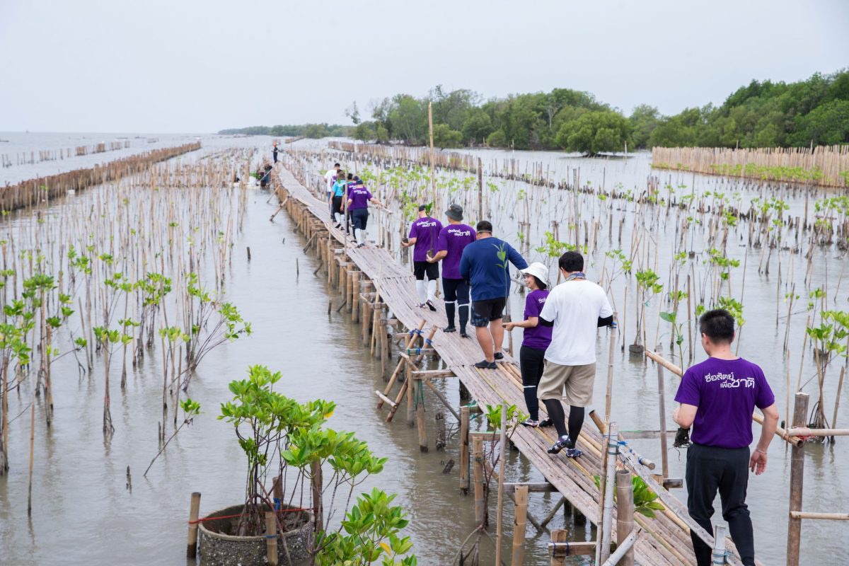 สหพัฒนพิบูล ร่วมเป็น 1 ในภาคีเครือข่าย กทม. รวมพลังชาว SPC พร้อมใจกันปลูกป่าชายเลน เดินหน้ารักษ์สิ่งแวดล้อมตามแนวทางธุรกิจที่ยั่งยืน