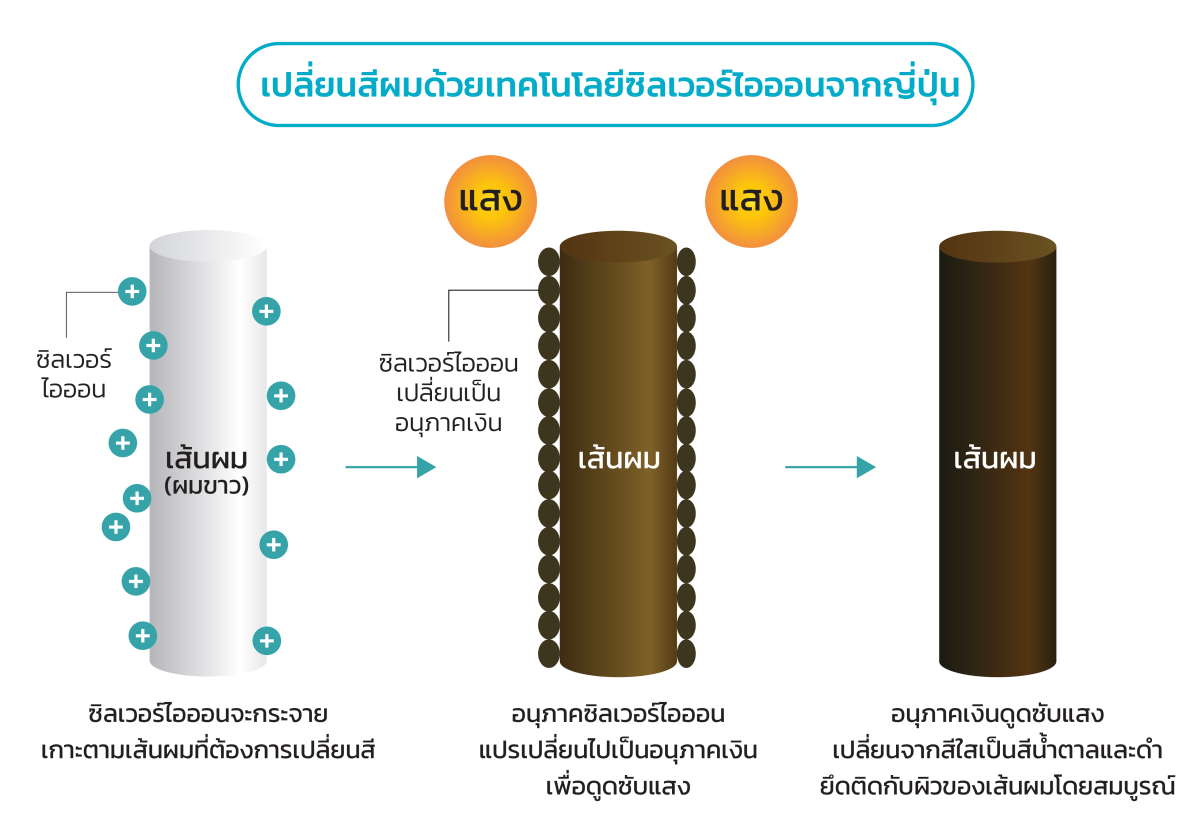 ภูมิพฤกษา เปิดตัว แคมเปญผลิตภัณฑ์ใหม่ ผมหิวแสง